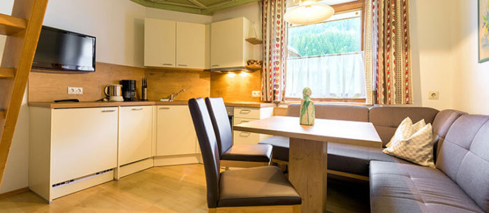First Class Apartments In Flachau Salzburger Land Haus Gappmaier